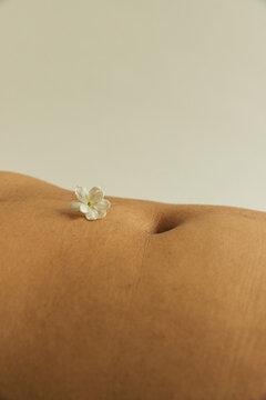 Single jasmine flower with belly button