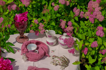 Morning tea on a table in the garden against the backdrop of a flowering shrub Japanese spirea