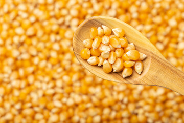 corn kernels for popcorn, in the wooden spoon