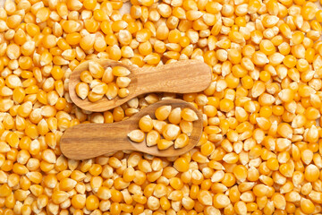 corn kernels for popcorn, in the wooden spoon