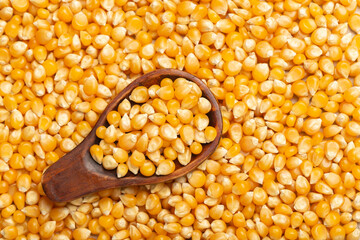 corn kernels for popcorn, in the wooden spoon