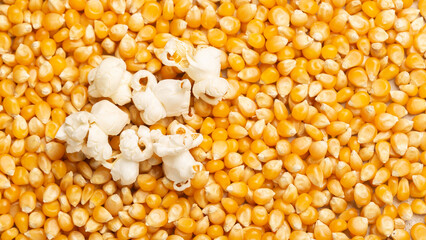 pile of corn kernels for popcorn, top view