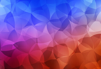 Light Blue, Red vector low poly layout.