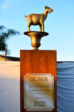 COSTA MESA, CALIFORNIA - 20 JUL 2022: Trophy statue a the Orange County Fair Livestock Competition area.