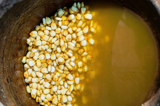 Yellow corn kernels in a bow with water