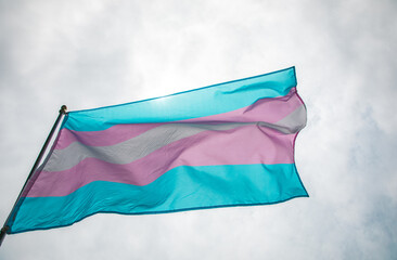 Transgender flag