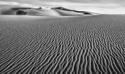 Black and White desert sand dunes and wind-blown lines