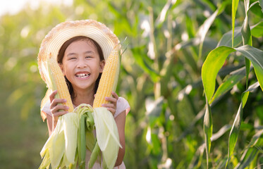 Adorable girl playing in a corn field on a beautiful summer day. Pretty child holding a corb of corn. kids farmers with corp corn havesting season in summer