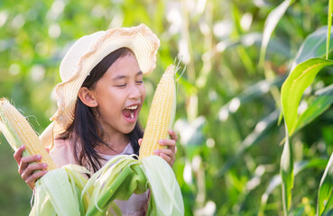 Adorable girl playing in a corn field on a beautiful summer day. Pretty child holding a corb of corn. kids farmers with corp corn havesting season in summer