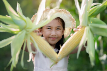 Adorable girl playing in a corn field on a beautiful summer day. Pretty child holding a corb of corn. kids farmers with corp corn havesting season in summer - obrazy, fototapety, plakaty