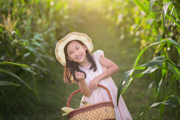 Adorable girl playing in a corn field on a beautiful summer day. Pretty child holding a corb of corn. kids farmers with corp corn havesting season in summer - obrazy, fototapety, plakaty