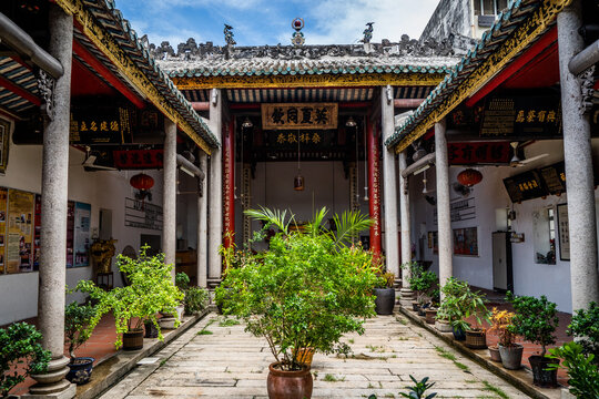 Trees in direct sunlight inside of a temple