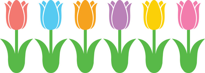 Tulips 1