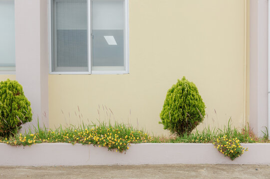 Pastel walls and plants.
