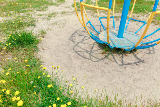 A yellow flower bloomed next to the ride.