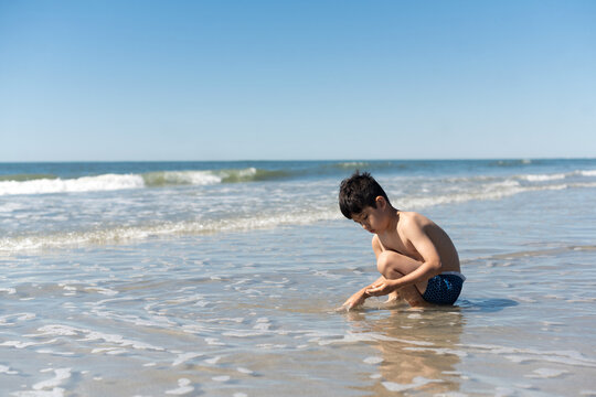 Looking for shells