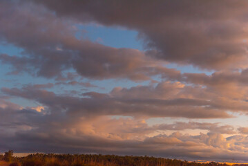Fototapeta na wymiar Pink, purple pastel sunset in Queensland, Australia. Great for sky replacement, editing. 