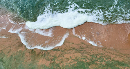 Foam waves and sand.Emerald waves from algae on a windy day