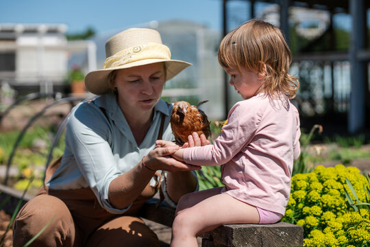 farmer family with a chicken