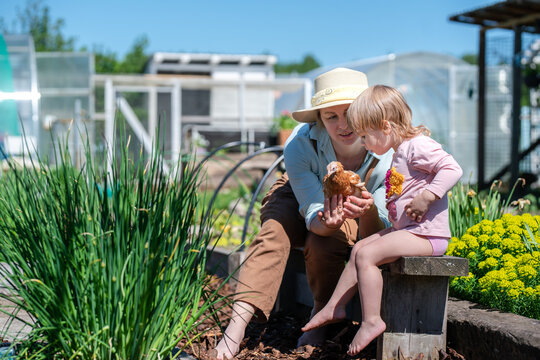 gardener family with a chicken