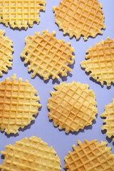 Wafer slices on violet background, top view