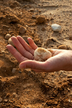 A stone in a hand