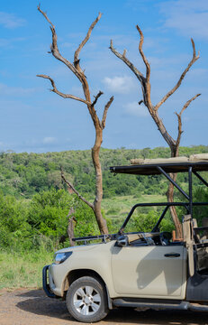Pirschfahrt mit einem Safari Geländewagen im Naturreservat Hluhluwe Nationalpark Südafrika 