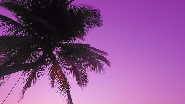 wind blowing coconut trees on purple background