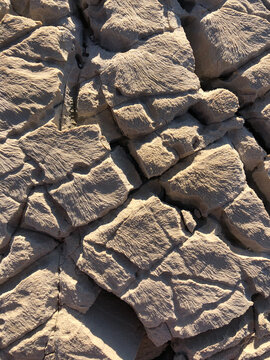 Sea texture