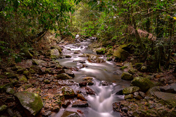 Naklejka na ściany i meble Nature views of a running creek in the rainforest of Queensland, Australia. 