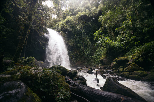 Landscape photo of a waterfall in the jungle