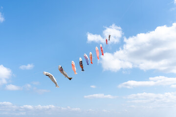 青空を泳ぐ鯉のぼり