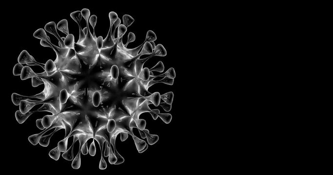 3D Centaur virus in motion on a black background. A dangerous pathogenic bacterial cell.