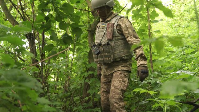 A Military Scout In An Ambush Crouched Down And Awaits Danger Ukrainian Military Man Signals With His Hand To Stop Fighting In The Forest Observation And Gathering Information About The Enemy Army