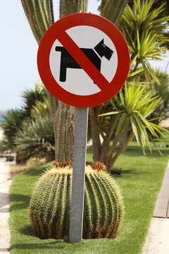 no dogs sign