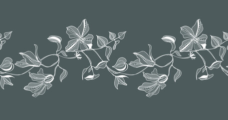 lace border, clematis flowers, vector illustration - obrazy, fototapety, plakaty