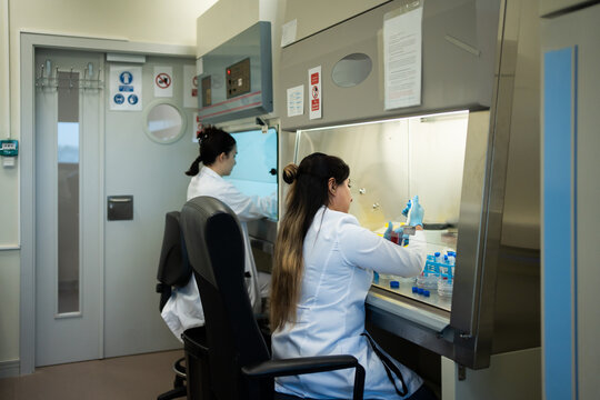 Two Women Working In A Science Research Laboratory.