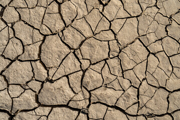 A dried-up clay or sandy soil due to lack of water 
in a river bed.