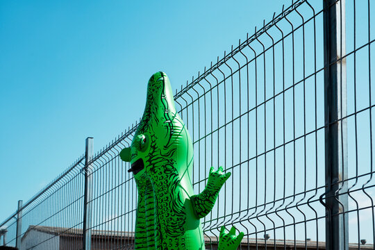 inflatable alligator in a fence