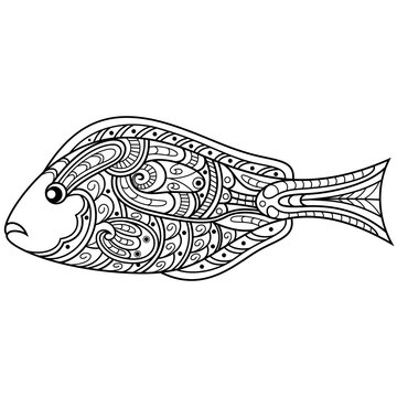 recommend clip art: Hand drawn of palette surgeonfish in zentangle style