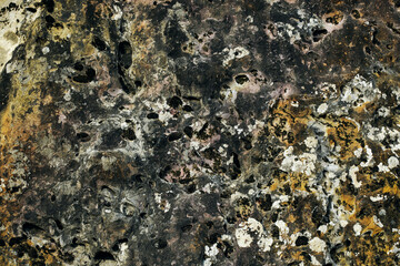 Old gray stone wall with moss texture background. Macro photography.