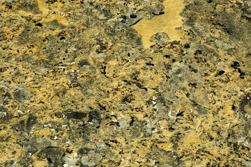 Old gray stone wall with moss texture background. Macro photography.