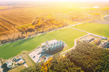 Aerial view modern granary, grain-drying complex, commercial grain or seed silos in sunny autumn rural countryside landscape. Corn dryer silos, inland grain terminal, grain elevators standing in a © Great Brut Here