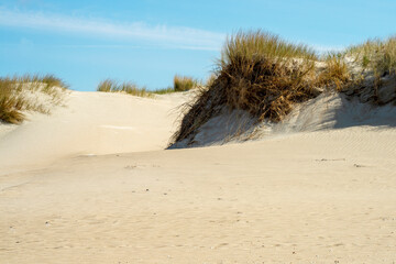 Sand dunes on the island of R&oslash;m&oslash; in Denmark