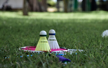Badminton outdoors equipments; white and yellow plastic shuttlecocks and badminton rackets, on grasslawn, soft and selective focus on shuttlecocks, outdoor badminton playing concept.