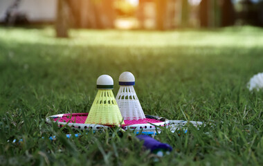 Badminton outdoors equipments; white and yellow plastic shuttlecocks and badminton rackets, on grasslawn, soft and selective focus on shuttlecocks, outdoor badminton playing concept.