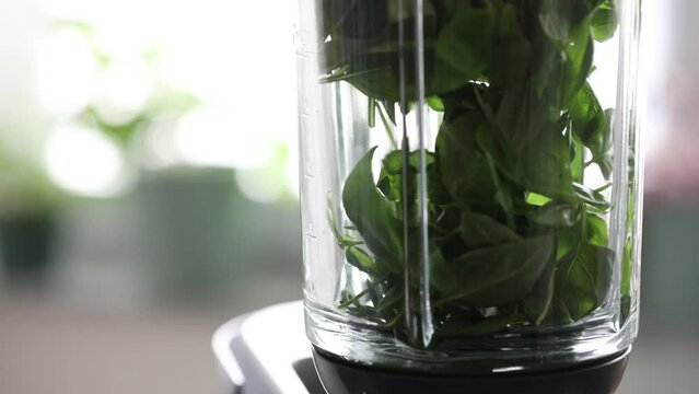Adding Basil into blender, glass blender with green leafs, glass blender with Basil (basilicum), healthy food