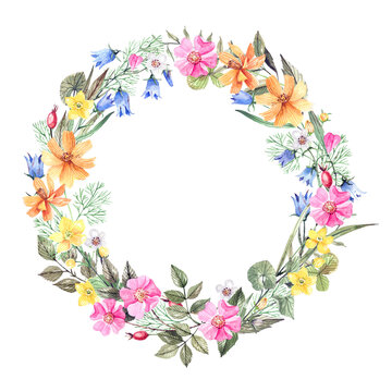 Floral wreath of field, wild plants watercolor illustration isolated on white background. Rosehip, cosmos, bluebells round frame, flower wreath.