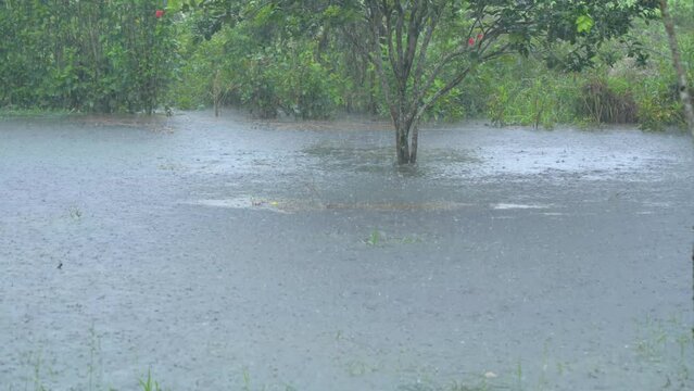 Heavy rain over a lake in Joya de los Sachas, Ecuador, South America. Tropical storm.