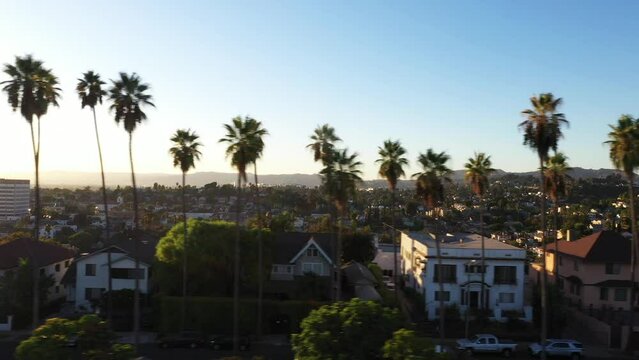 Beautiful drone shot panning a palm tree lined street dotted with houses and cars in the Echo Park neighborhood of Los Angeles, California